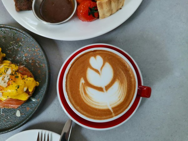 Découvrir les vêtements iconiques Schott NYC pour un style authentique